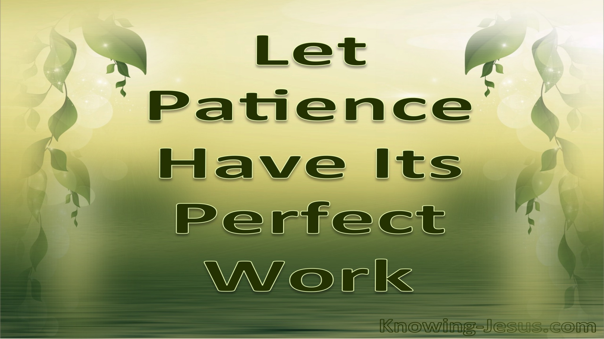 James 1:4 Let Patience Have Its Perfect Work (sage)